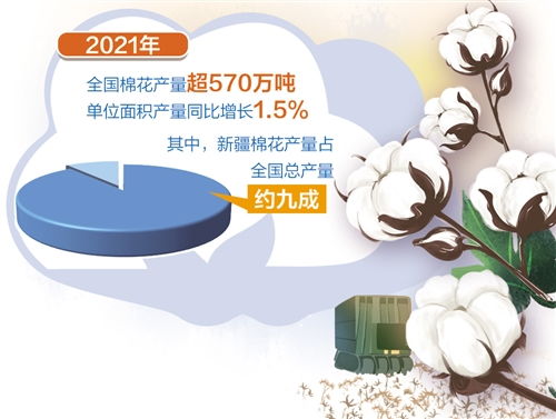棉花量稳质升 种棉收益增长